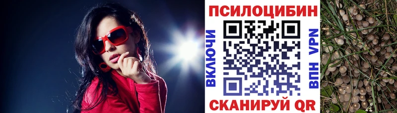 Галлюциногенные грибы MAGIC MUSHROOMS  Лесозаводск 
